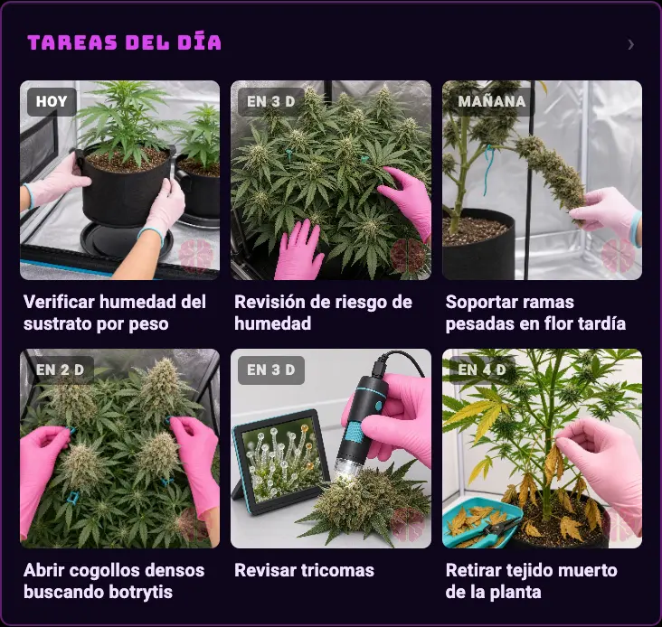 FIG 07a · Tarjeta de tareas: las de esta semana, con estado.