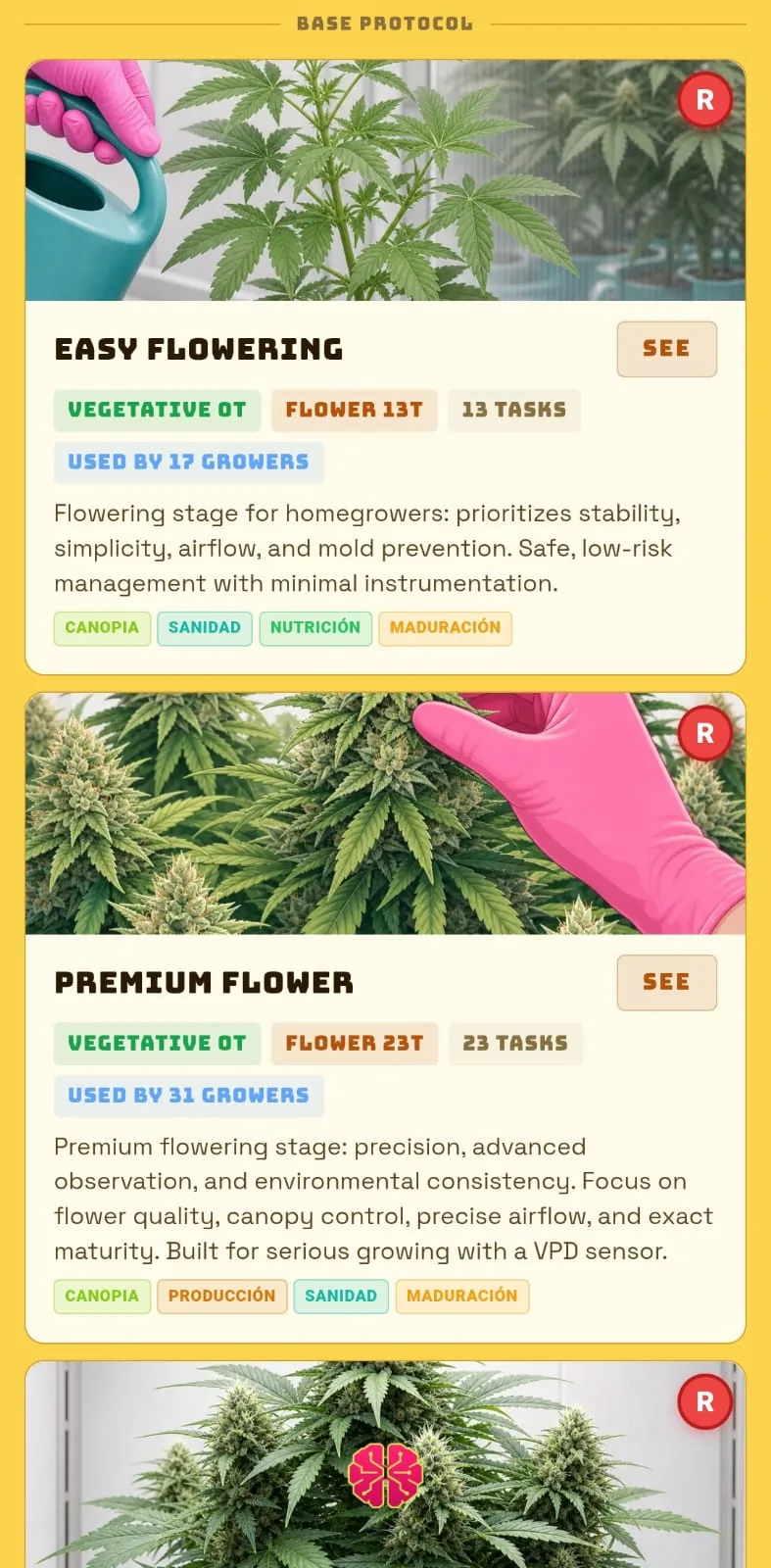 Der Katalog der Basis-Protokolle in der App, Einfache Blüte mit 13 Aufgaben und Premium Blüte mit 23 Aufgaben, jeweils mit Phase, Tags und der Zahl der Grower, die es nutzen