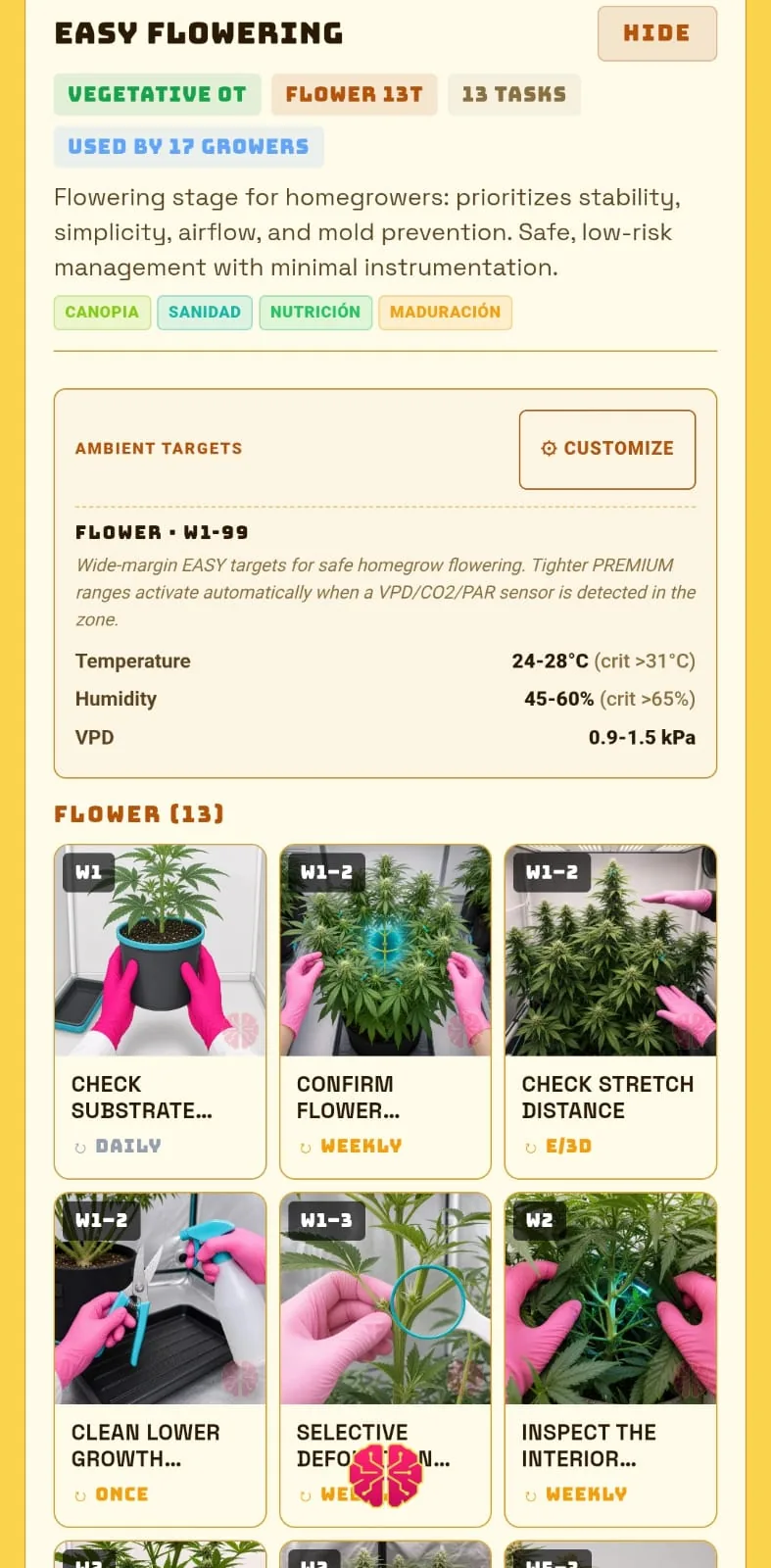 Das Protokoll Einfache Blüte in der App geöffnet, mit Zielwerten für Temperatur, Luftfeuchte und VPD und dem Raster der 13 Aufgaben pro Woche