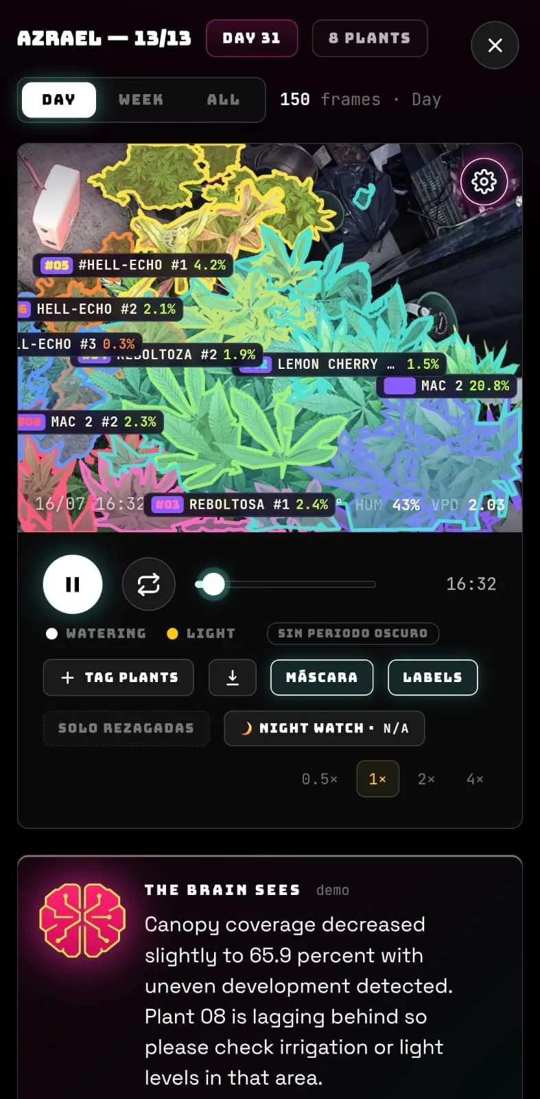 AI timelapse